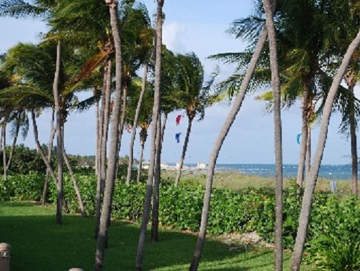 HOA Beach Area