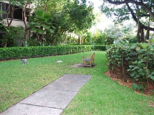 HOA Dog Park HOA Dog Park