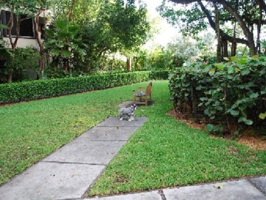 HOA Dog Park HOA Dog Park